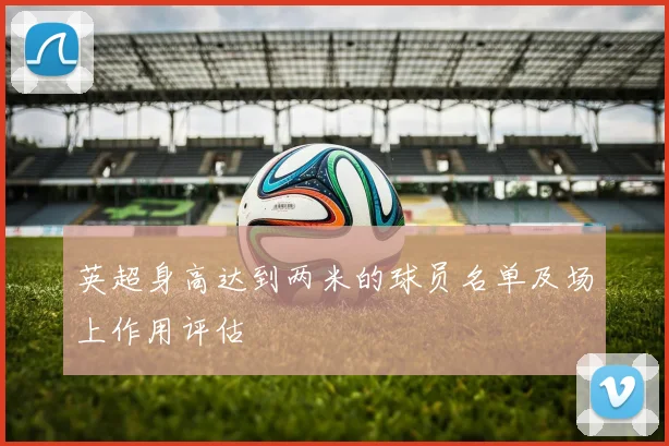 英超身高达到两米的球员名单及场上作用评估