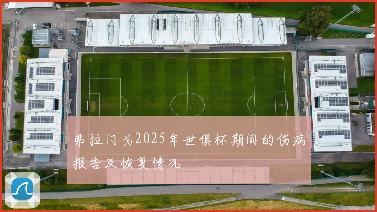 弗拉门戈2025年世俱杯期间的伤病报告及恢复情况