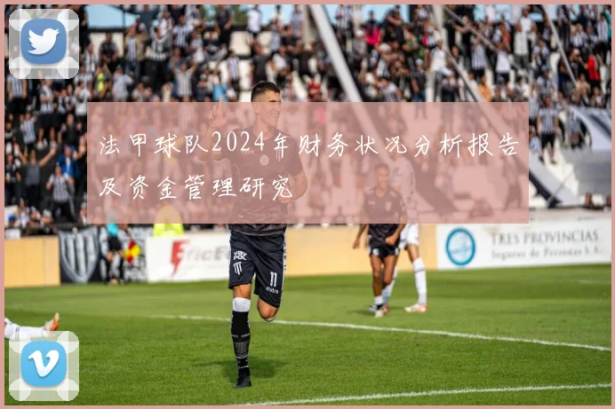 法甲球队2024年财务状况分析报告及资金管理研究